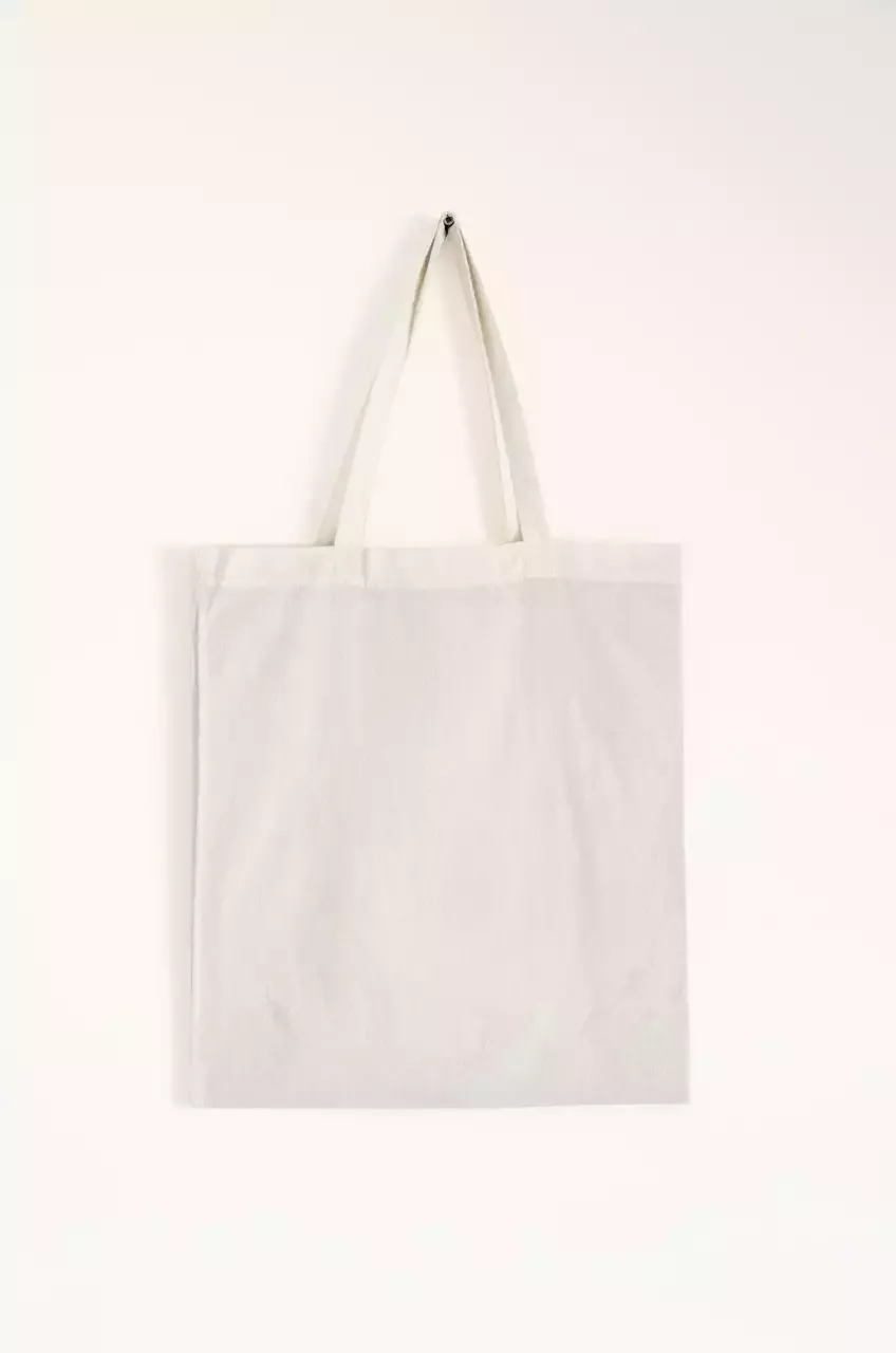 Backlash Surrounding Emily Mariko's $120 Tote Bag