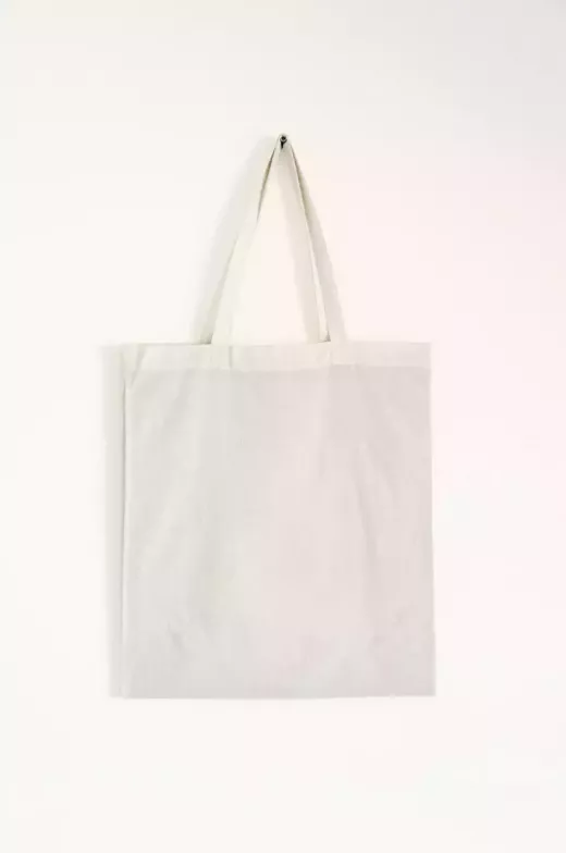 Backlash Surrounding Emily Mariko's $120 Tote Bag